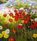 Sunlit Canvas Paintings - Shadow Poppies, Sunlit Poppies